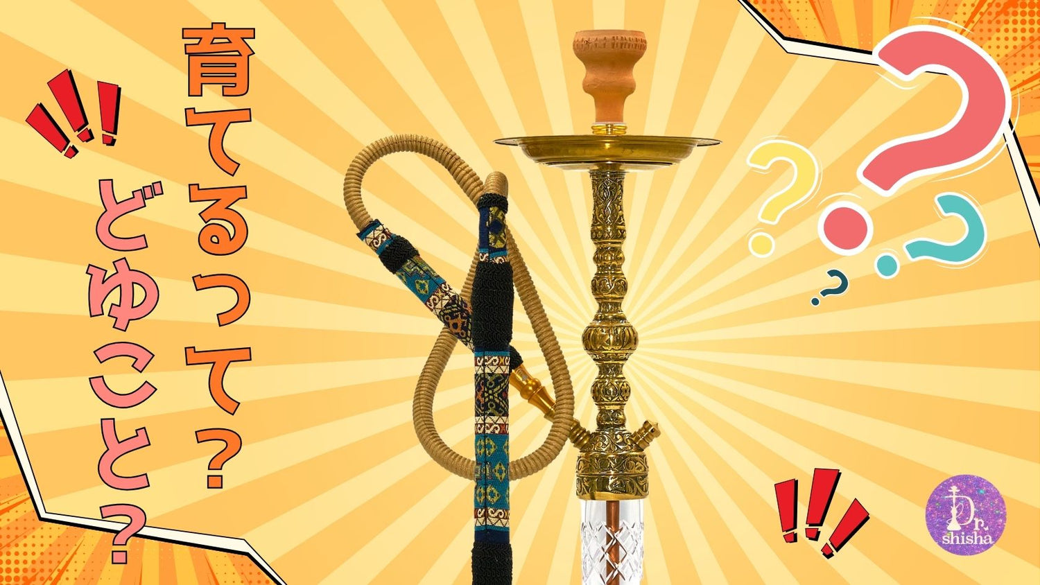 シーシャパイプの育成とは?その魅力と方法を解説!