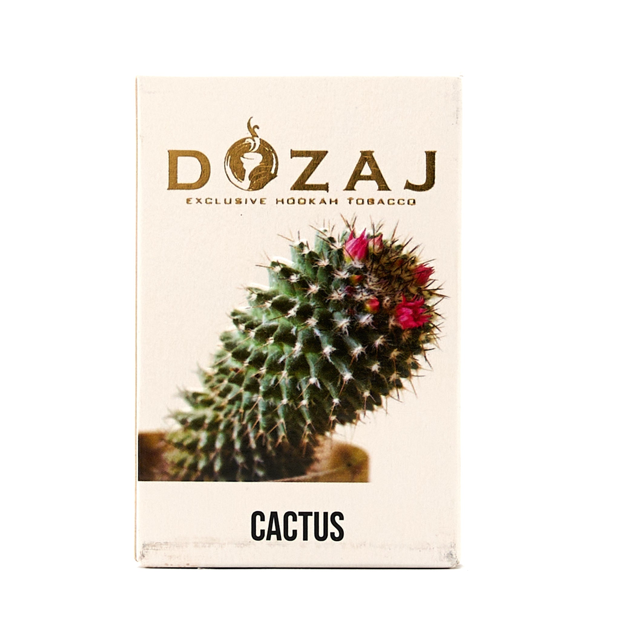 Cactus / カクタス (50g)