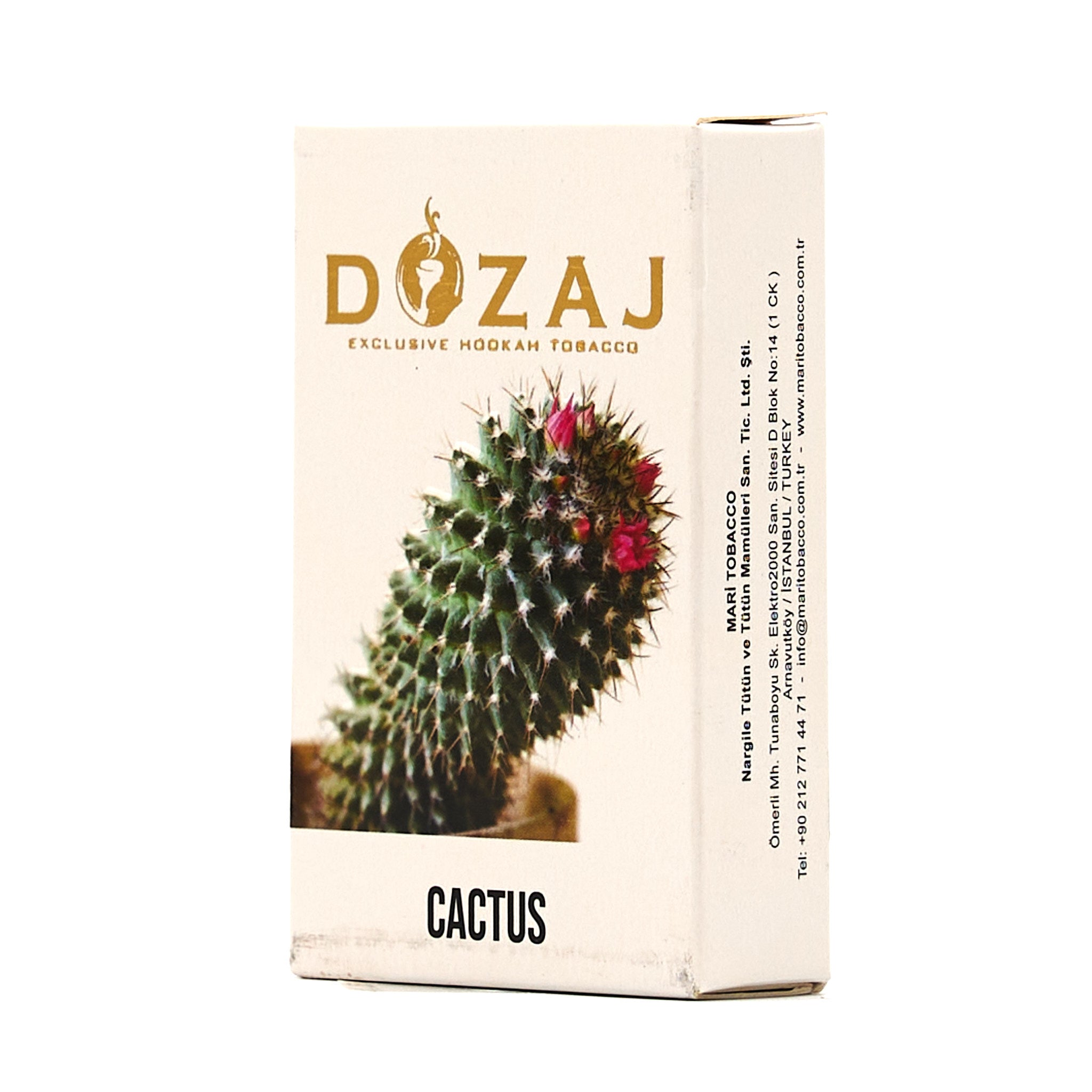 Cactus / カクタス (50g)